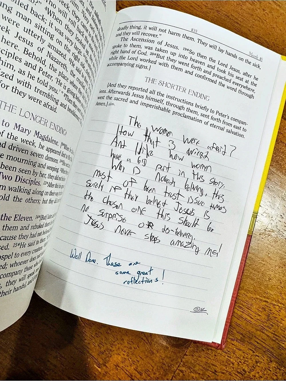 The New American Bible Gospel of Mark Journal Hardback